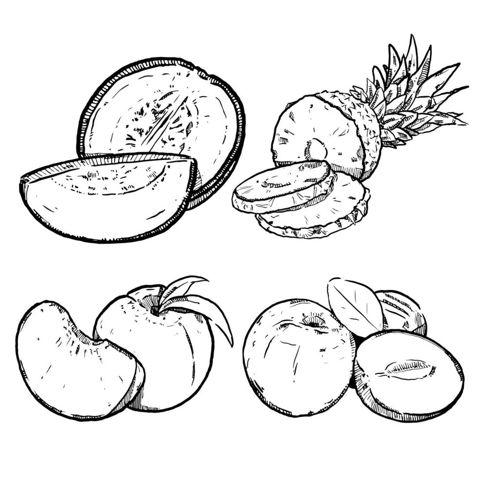 ensemble de croquis et de fruits dessinés à la main melon pomme de pin pomme et pêche vecteur