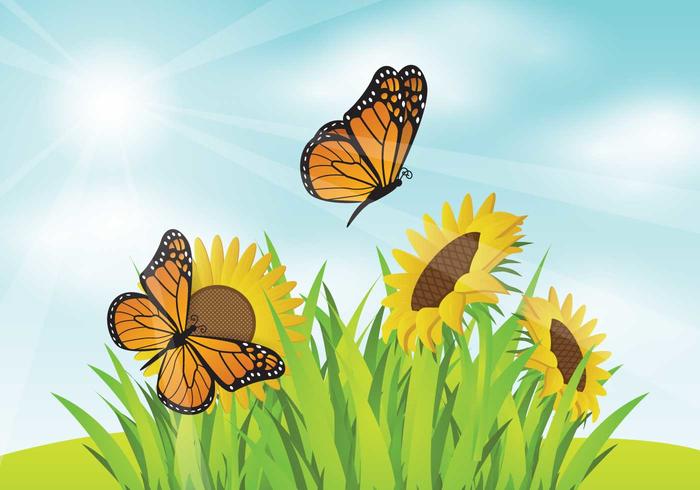 Free Mariposa With SunFlower Garden Illustration vecteur