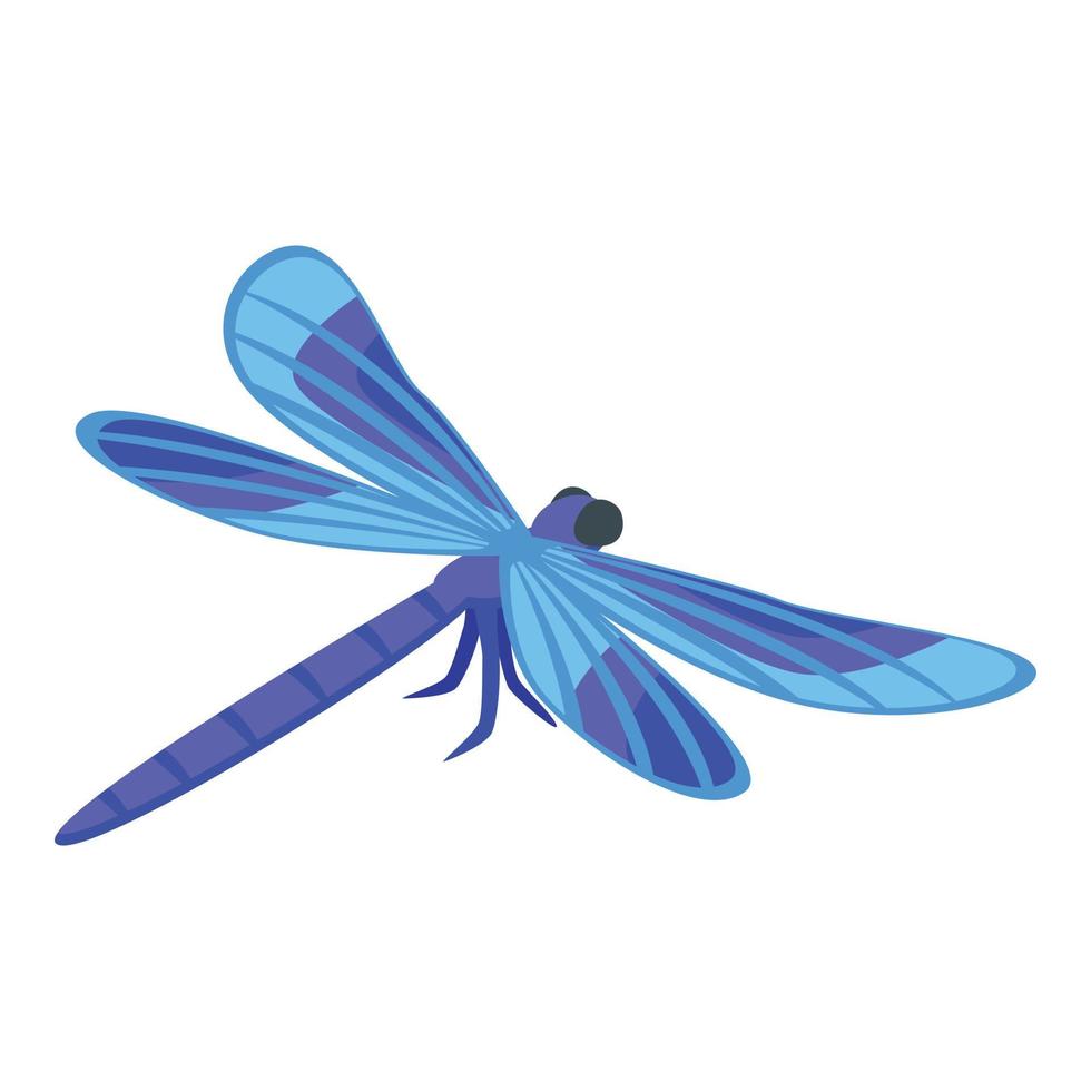 vecteur isométrique d'icône de libellule bleue. aile de dragon