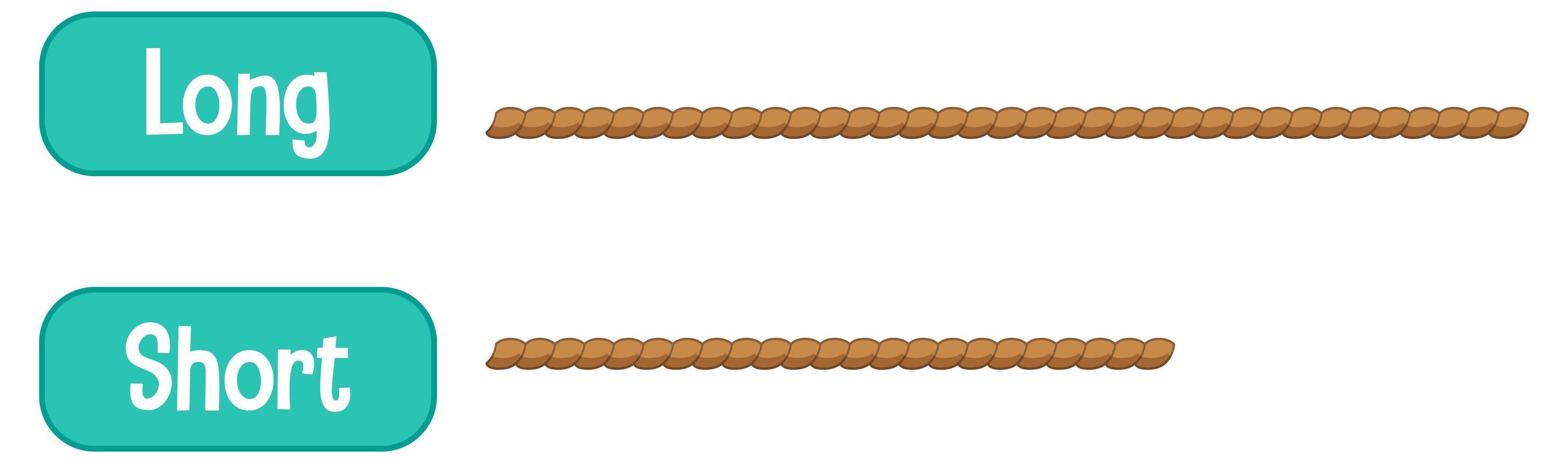 Adjectifs opposés mots avec long et court vecteur