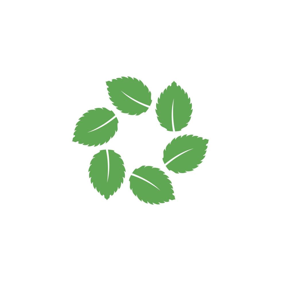 illustration d'icône vecteur feuille de menthe