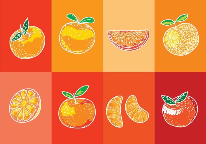 Ensemble de fruits clémentés isolés sur fond orange avec style ligne artistique vecteur