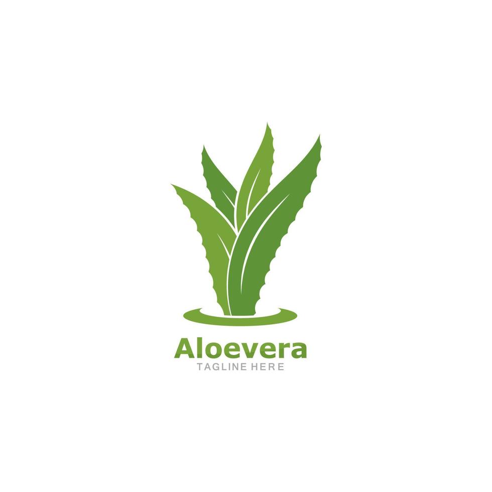 ensemble d'icône de vecteur de modèle de logo aloevera