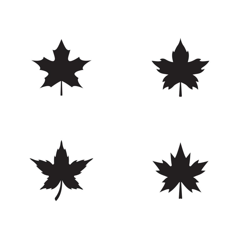 feuille d'érable logo modèle icône illustration vectorielle vecteur