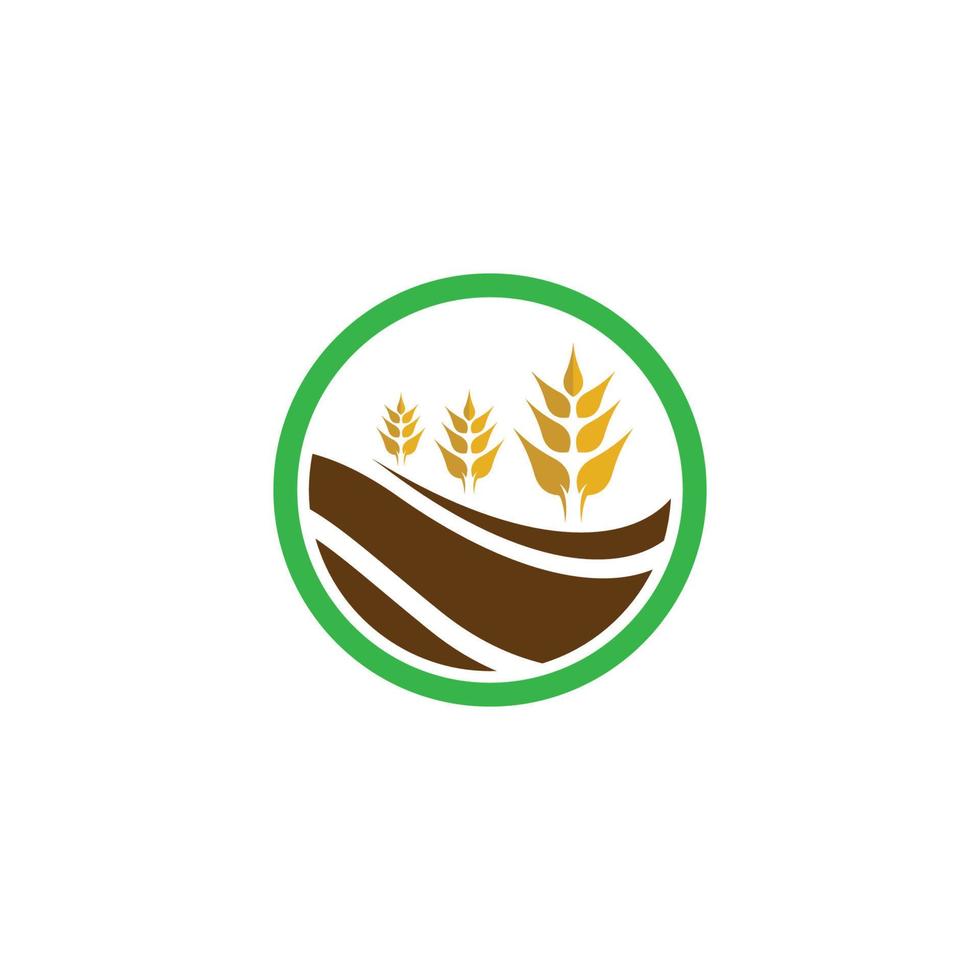 icône de vecteur de modèle de logo de blé de l'agriculture