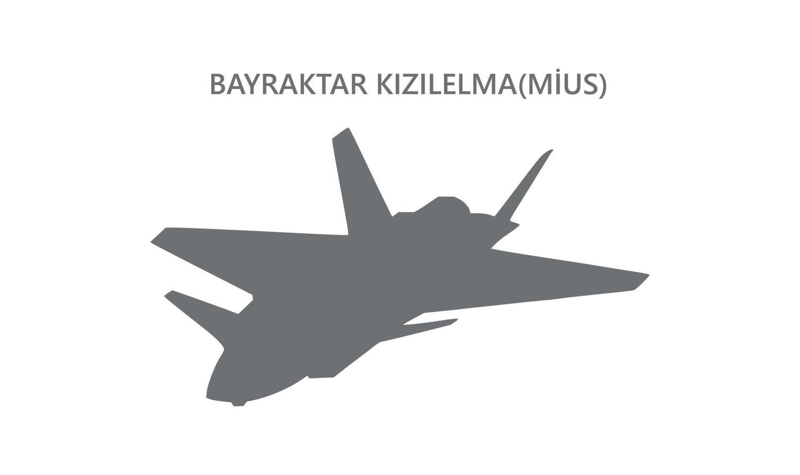 bayraktar combattant système d'avion sans pilote cuas vecteur