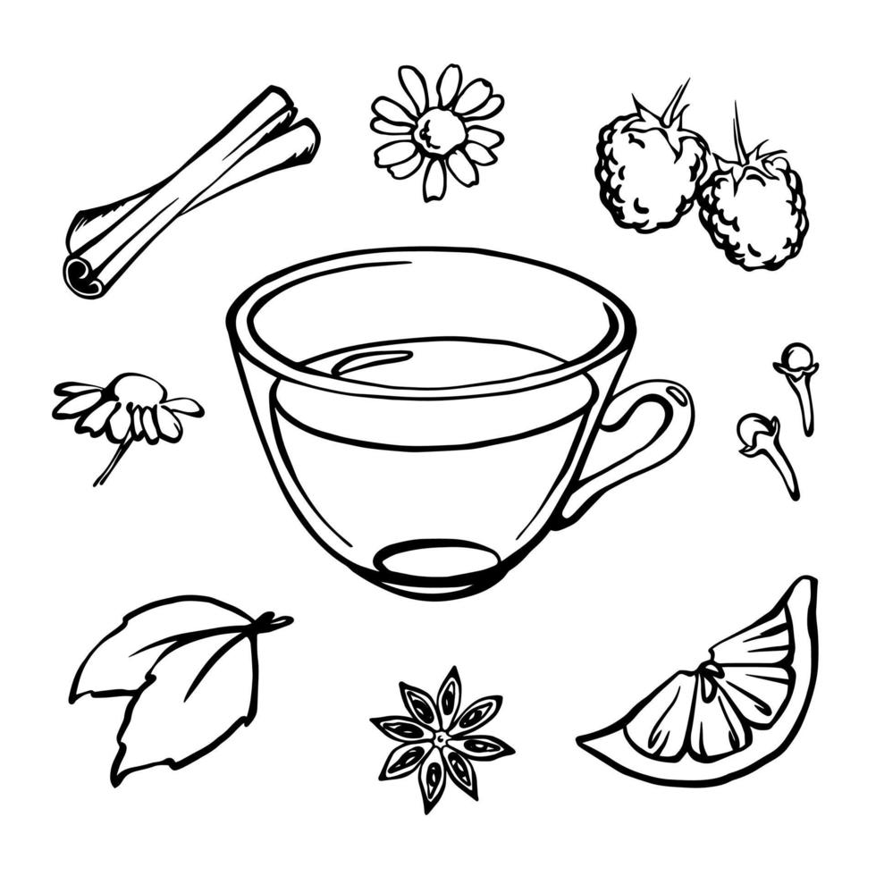 ensemble d'illustrations de tisane vectorielle contour noir et blanc, tasse à thé et menthe, camomille, framboise, citron, cannelle, oeillet, anis vecteur