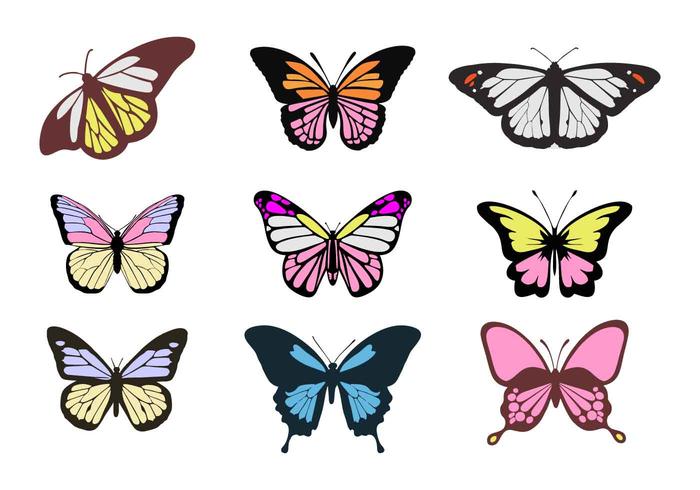 Vecteurs de papillons colorés gratuits vecteur