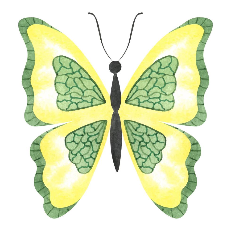papillon aquarelle dessiné à la main. dessin animé mignon papillon jaune et vert. illustration d'un papillon vecteur