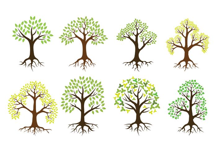 Arbre avec des icônes vectorielles de racines vecteur