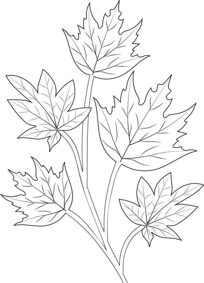 feuilles d'automne illustration vectorielle dessinée à la main page à colorier et livres isolés sur fond blanc clipart, vecteur