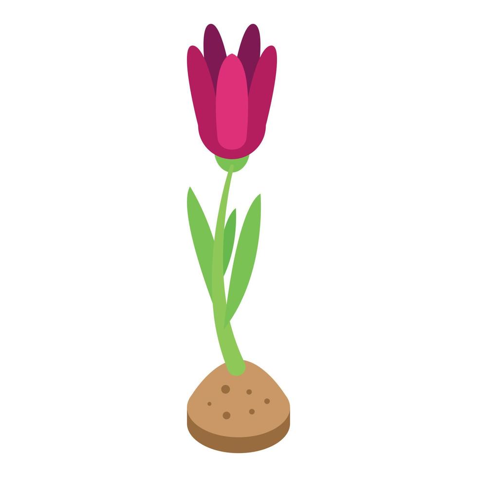 vecteur isométrique d'icône de fleur de printemps de pâques. bon mois d'avril