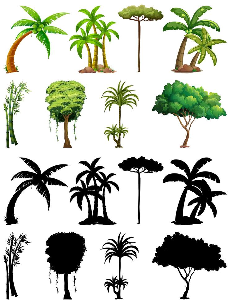 ensemble de variétés de plantes et d & # 39; arbres vecteur
