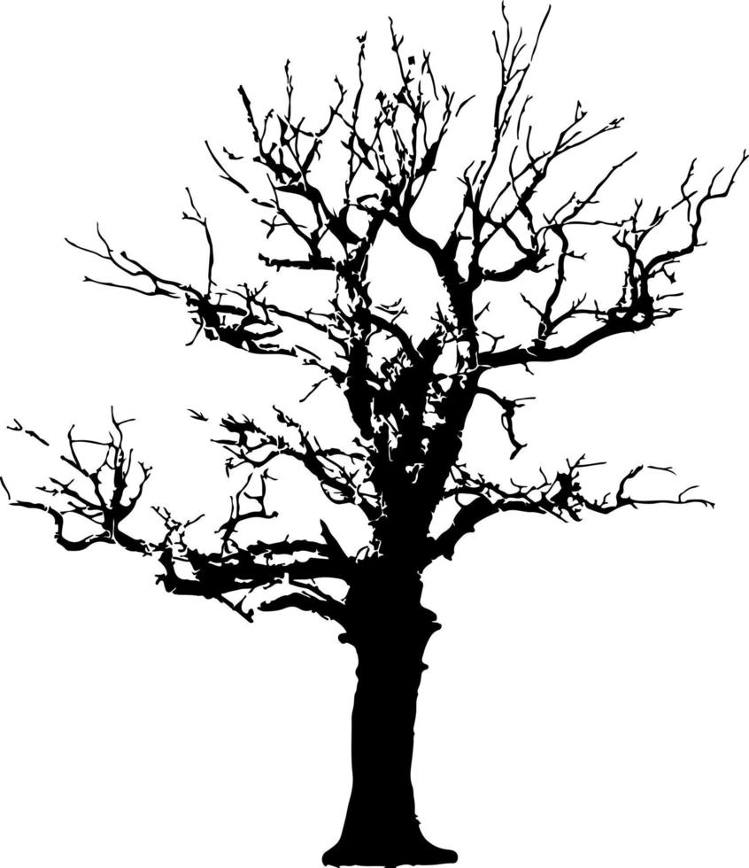 silhouette d'arbres pour le site web, pour l'impression. illustration de graphiques vectoriels vecteur