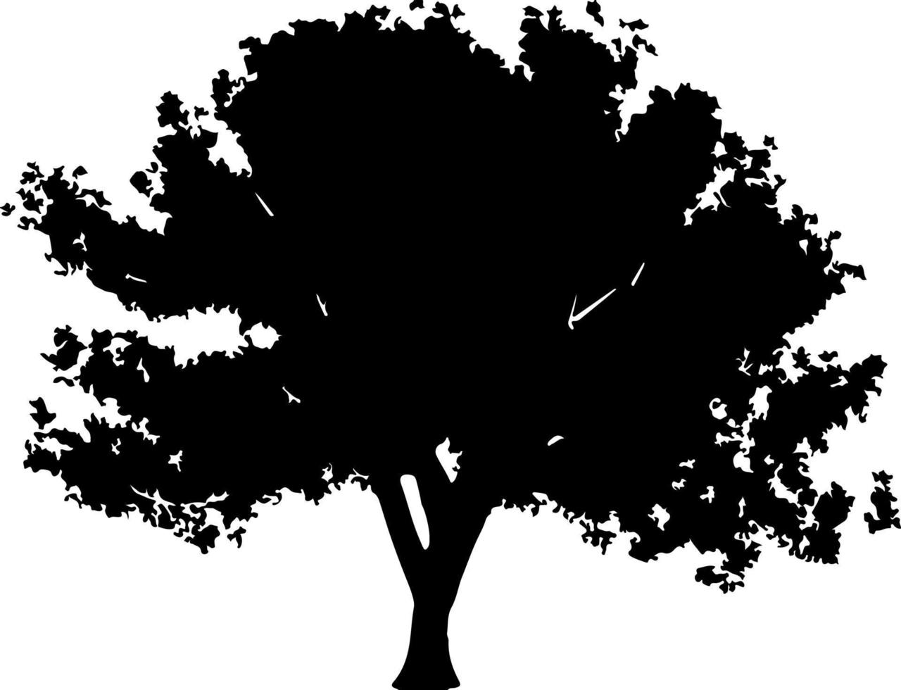 silhouette d'arbres pour le site web, pour l'impression. illustration de graphiques vectoriels vecteur