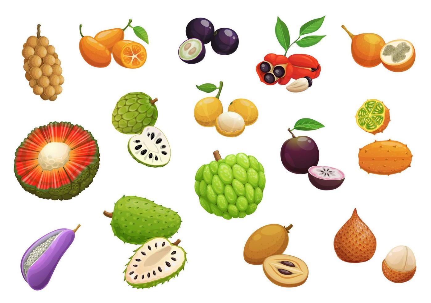 fruits tropicaux exotiques de dessin animé isolé vecteur