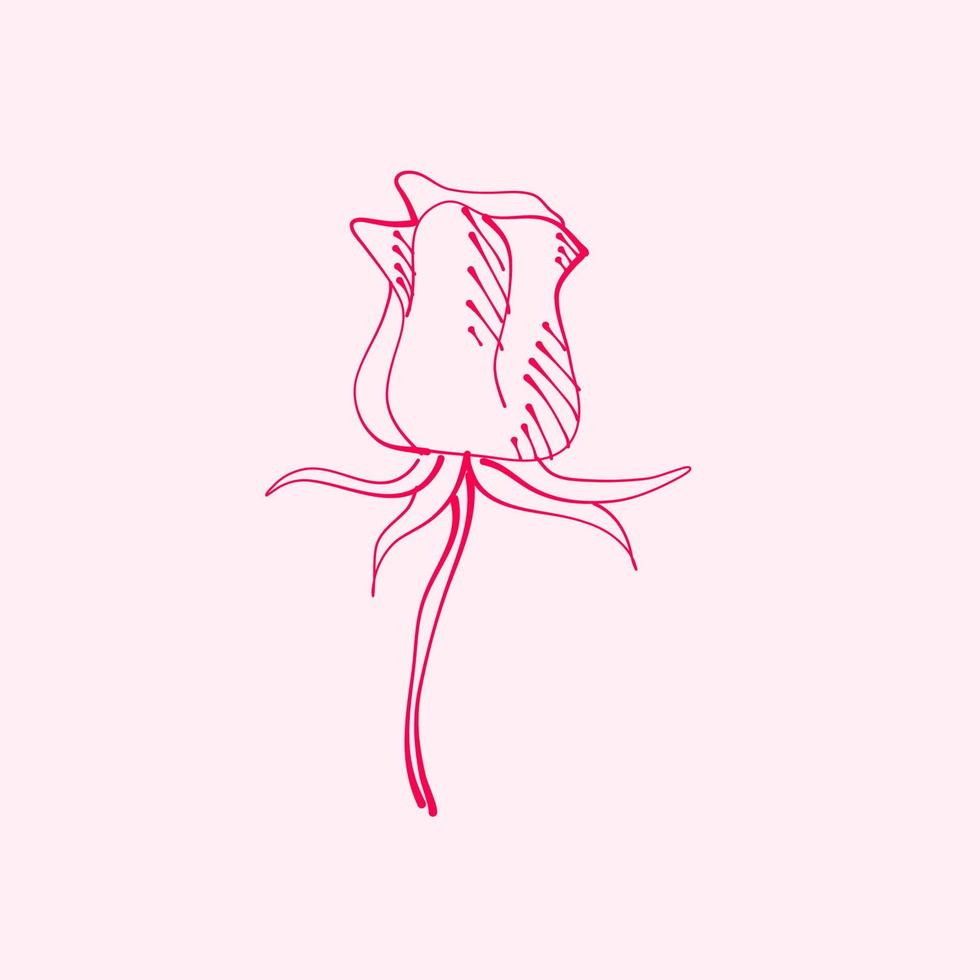 rose dessinée à la main. dessin de fleur rose. illustration de fleur rose dans un style dessiné à la main. jolie fleur. contour rose. vecteur