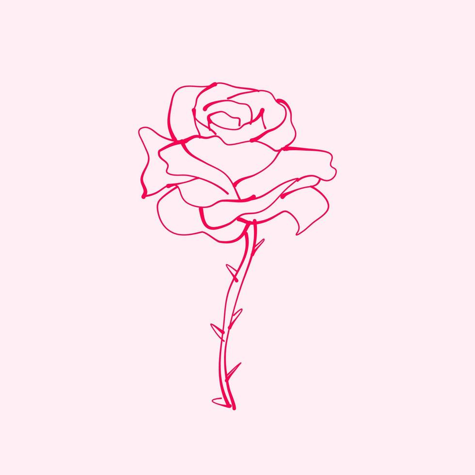 rose dessinée à la main. dessin de fleur rose. illustration de fleur rose dans un style dessiné à la main. jolie fleur. contour rose. vecteur