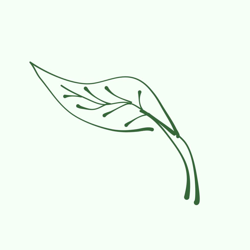 contour de feuille pour la décoration. silhouette de feuille de vecteur. branches dessinées à la main avec des feuilles et des branches. plante. vecteur