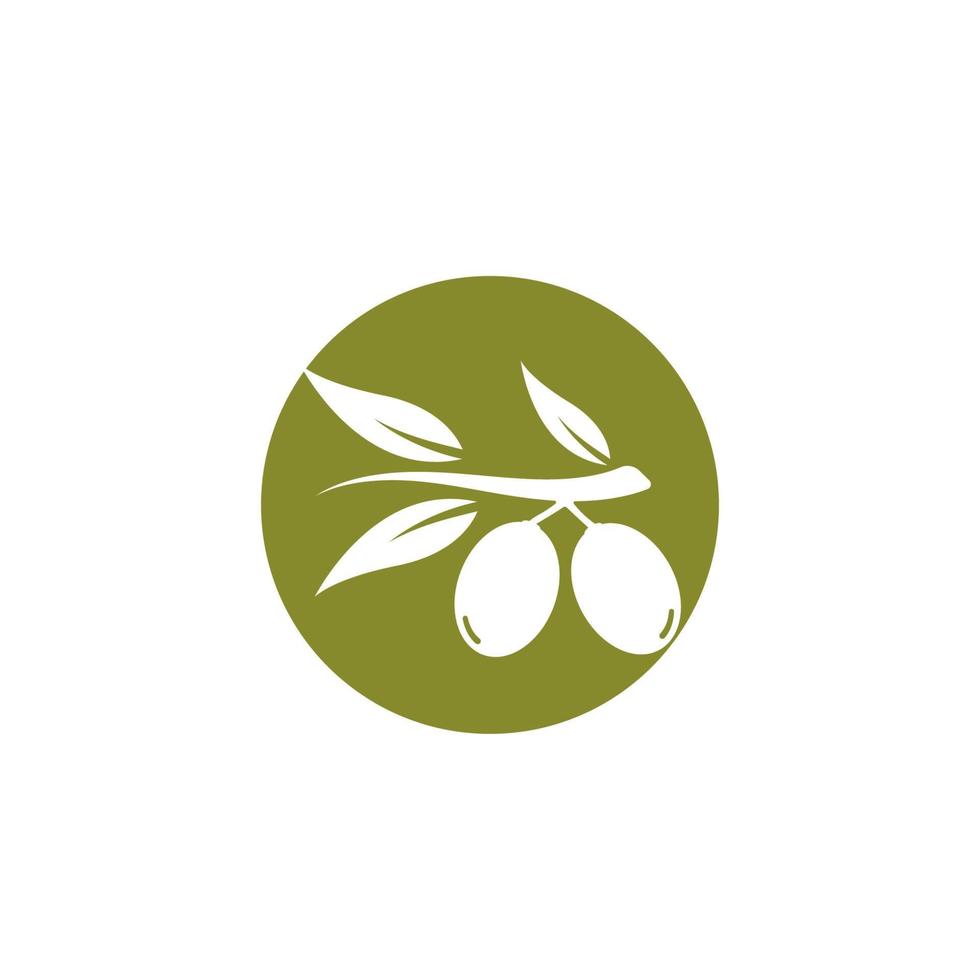 ensemble d'illustration vectorielle logo olive vecteur
