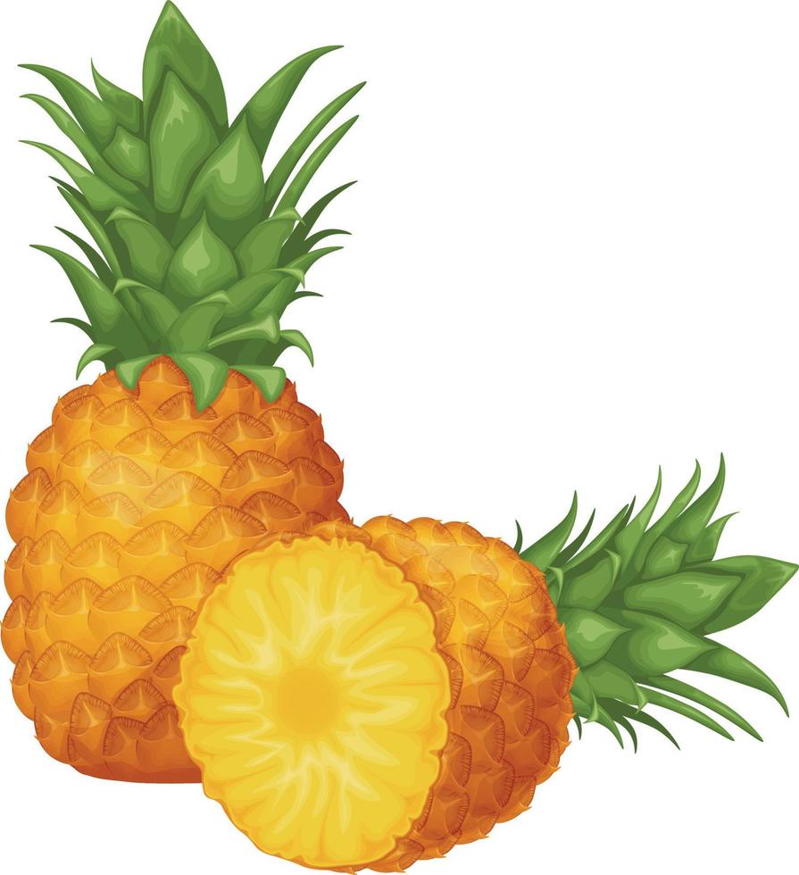 ananas. image d'ananas coupé en morceaux. morceaux d'ananas bien mûrs. fruits tropicaux sucrés. illustration vectorielle vecteur