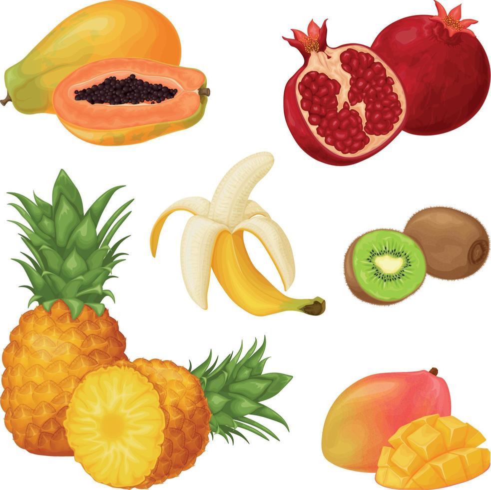 ensemble de fruits tropicaux. une collection de fruits tropicaux comme la papaye, la grenade, la banane et l'ananas, le kiwi et la mangue. illustration vectorielle. vecteur
