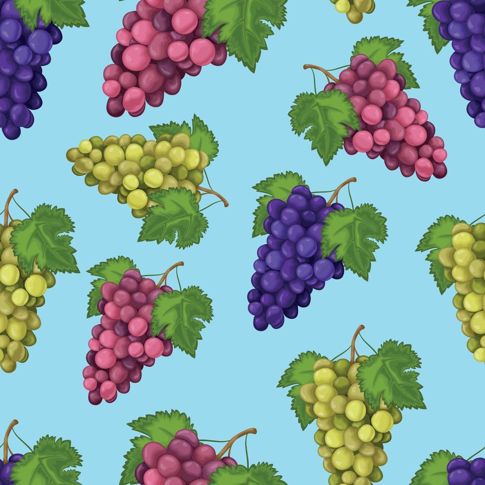 grain de raisin. modèle sans couture avec l'image des raisins verts et bleus. motif raisin. modèle sans couture avec des fruits. illustration vectorielle vecteur