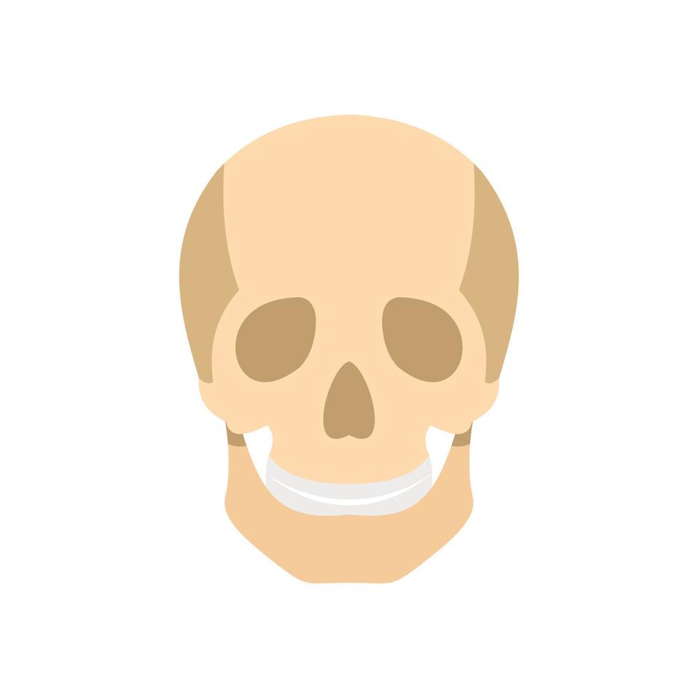 icône de crâne, style plat vecteur