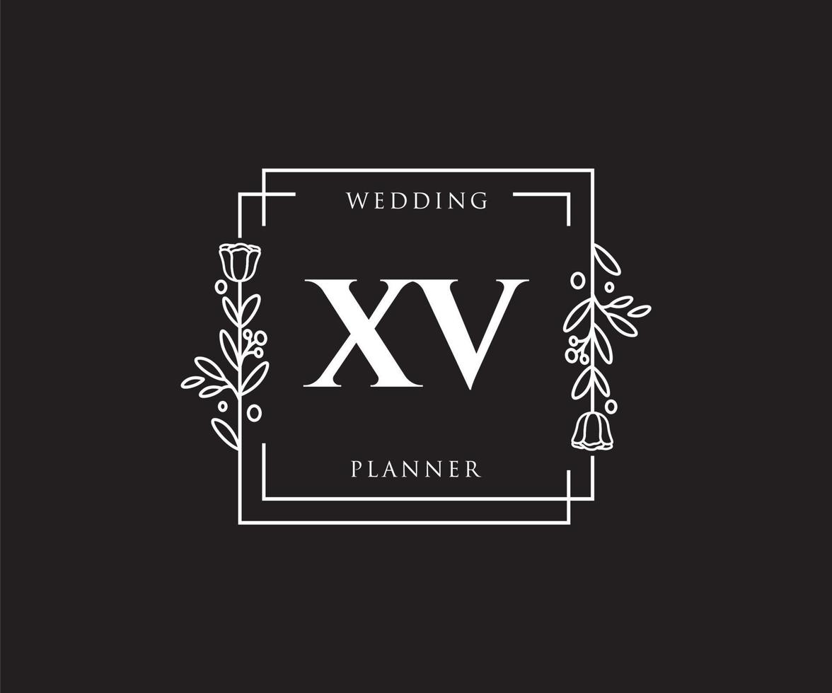 initiale xv logo féminin. utilisable pour les logos nature, salon, spa, cosmétique et beauté. élément de modèle de conception de logo vectoriel plat.