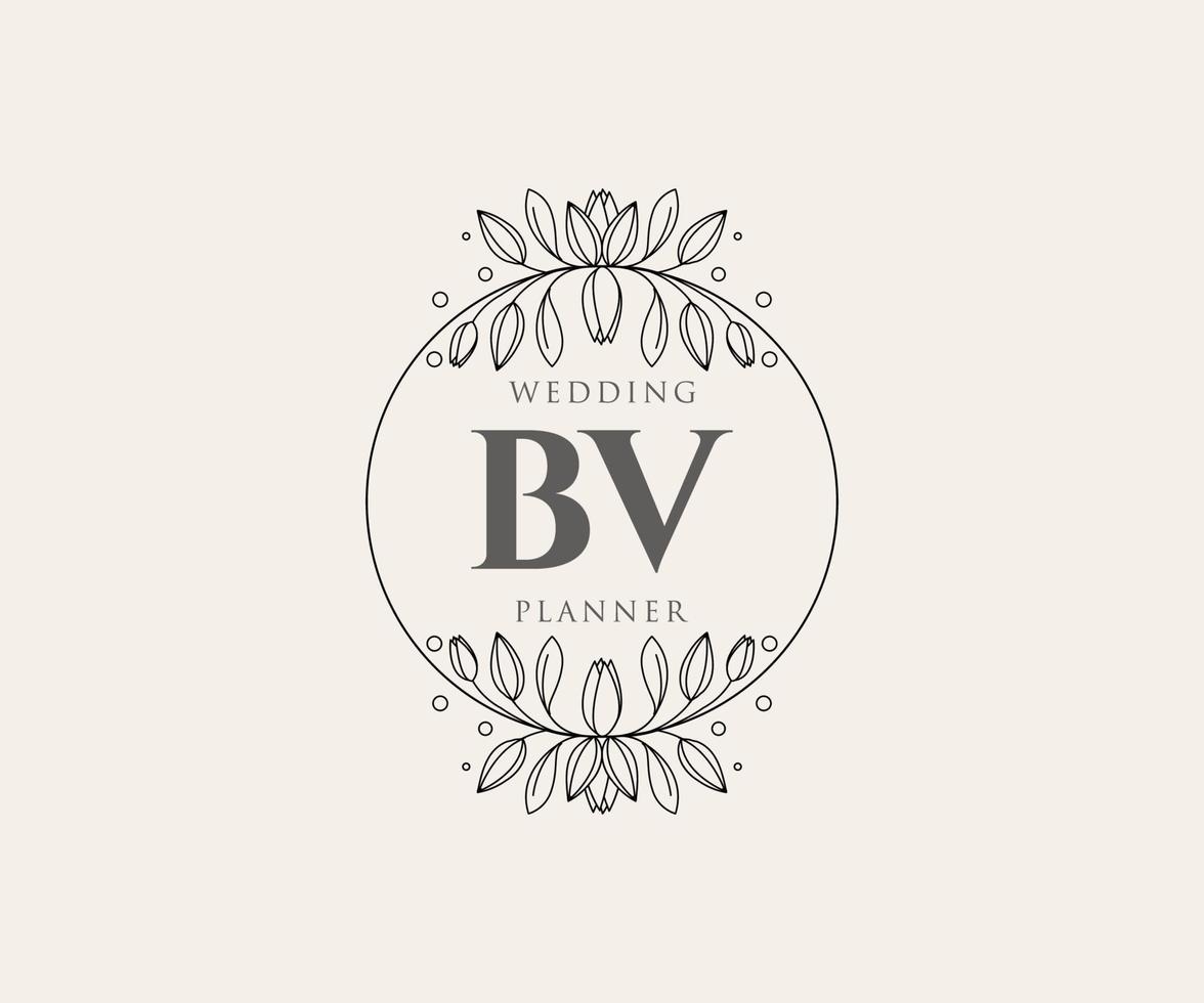 bv initiales lettre mariage monogramme logos collection, modèles minimalistes et floraux modernes dessinés à la main pour cartes d'invitation, réservez la date, identité élégante pour restaurant, boutique, café en image vectorielle vecteur