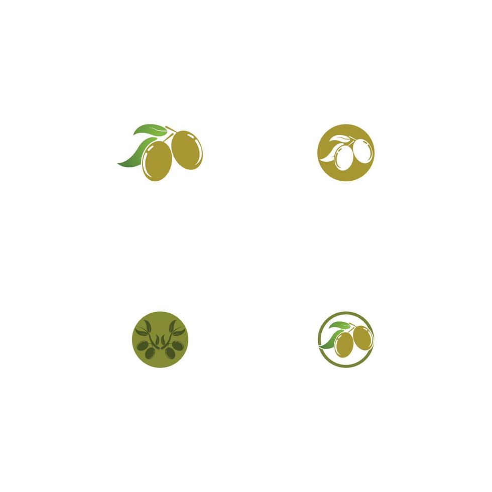 illustration vectorielle de conception de logo d'huile d'olive extra vierge vecteur