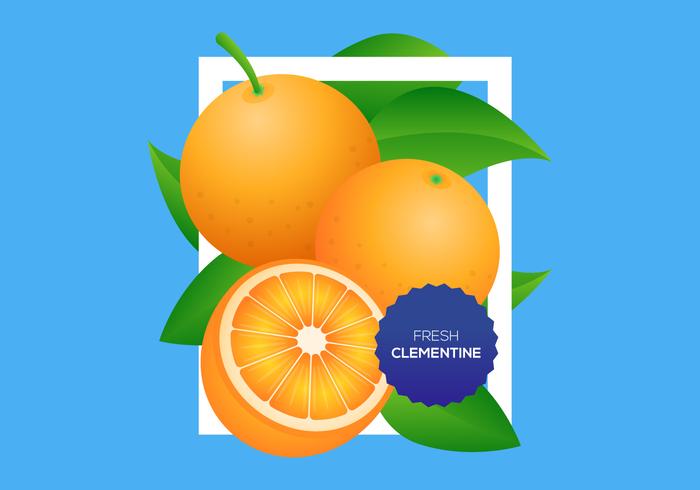 Fond d'écran Clementine gratuit vecteur