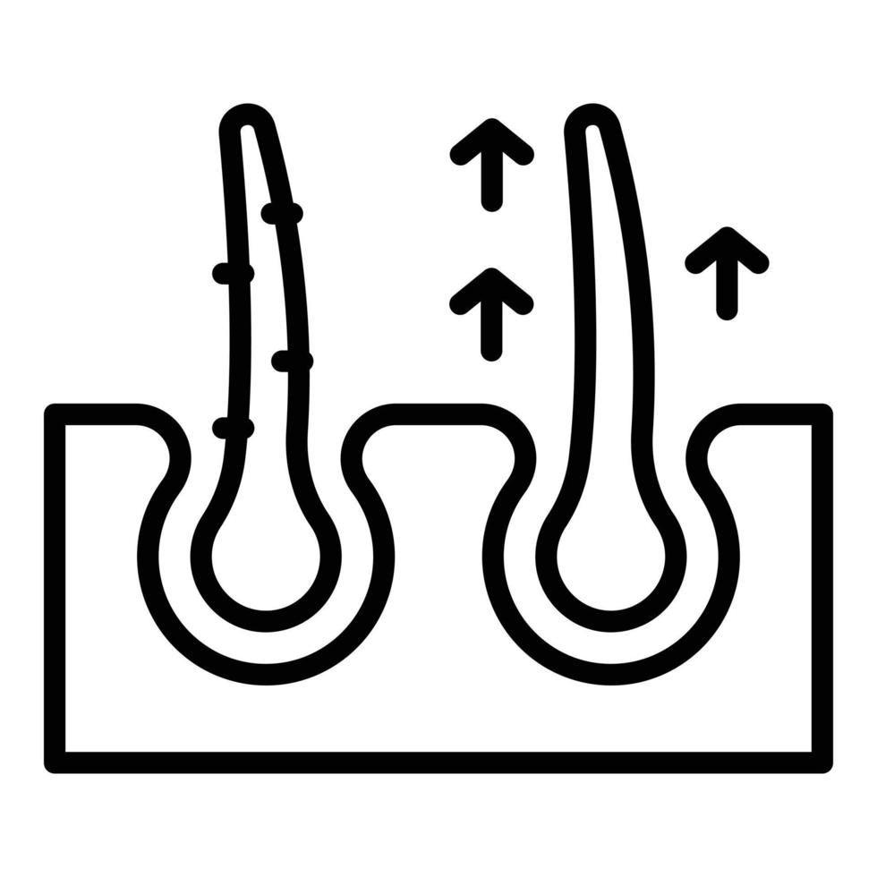 vecteur de contour d'icône de croissance de cheveux. femme de salon