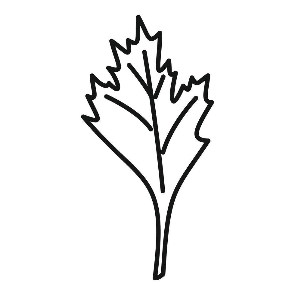 vecteur de contour d'icône d'épice de persil. feuille d'herbe