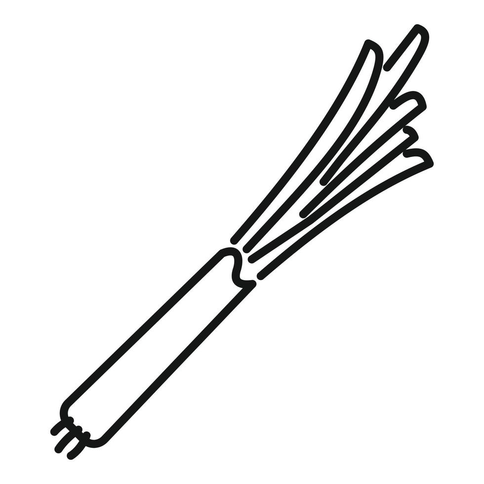 vecteur de contour d'icône de ciboulette chinoise. oignon ail