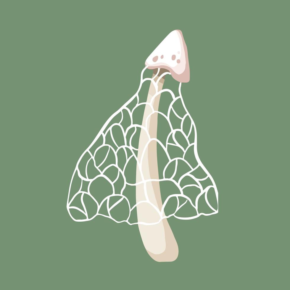 illustration de vecteur de champignon phallus indusiatus blanc isolé sur fond vert. plante sauvage avec des cordes de toile d'araignée dessinant avec un style d'art plat de dessin animé.