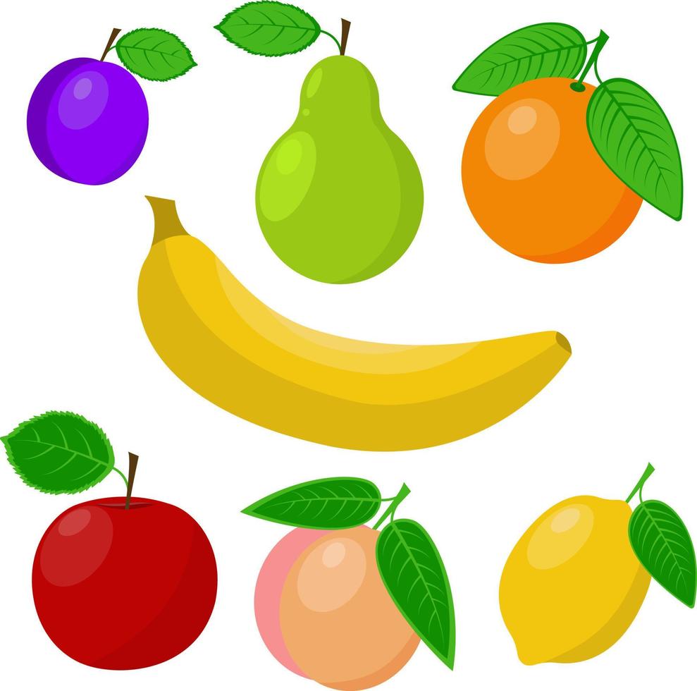 fruit set vector illustration isolé sur fond blanc