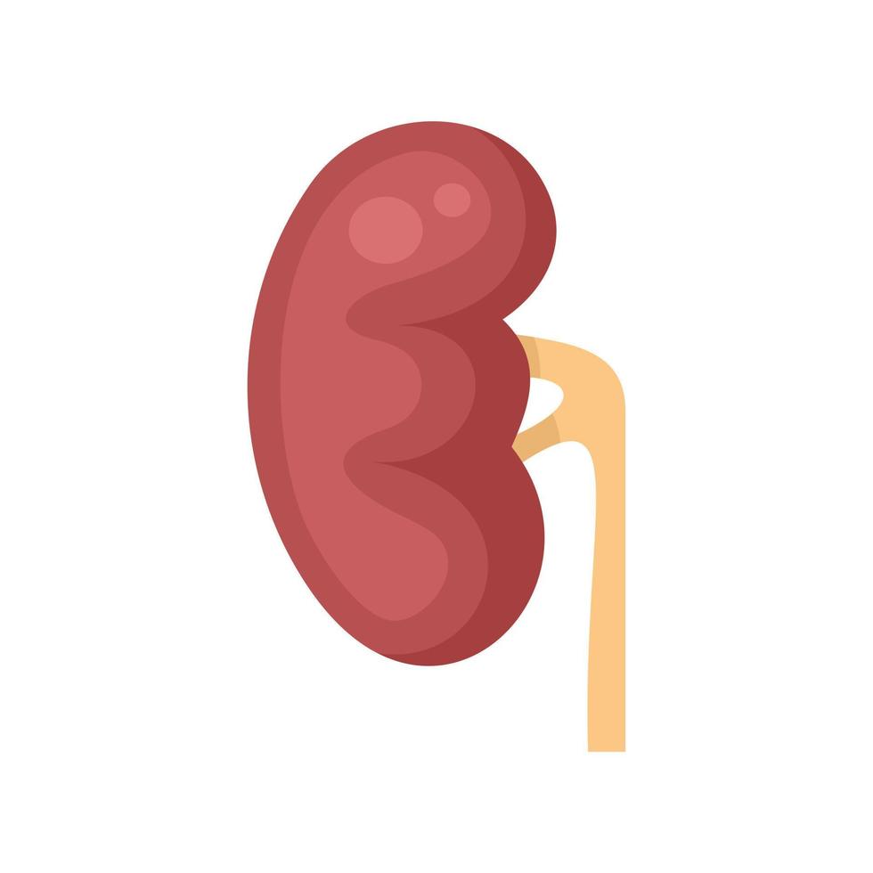 dialyse rein icône plat isolé vecteur