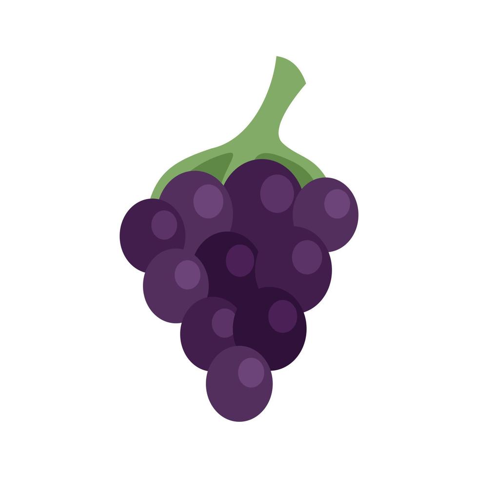icône de raisins frais vecteur isolé plat