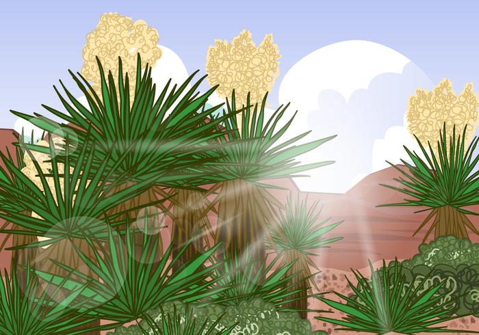 Yucca Desert Scene Vector