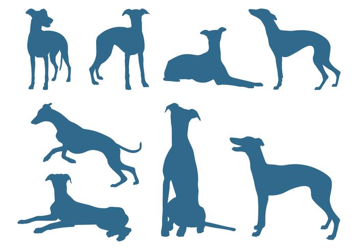 Des silhouettes de chiens greyhound vecteur