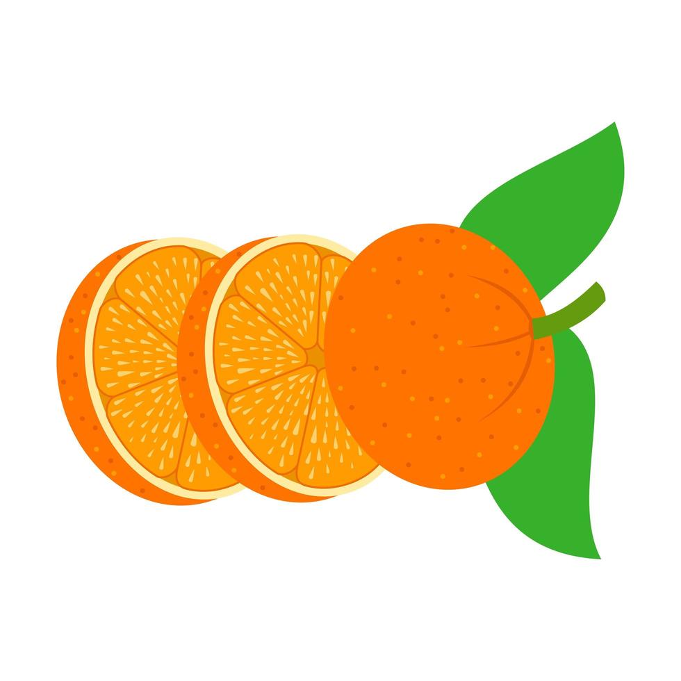tranches de fruits orange vecteur