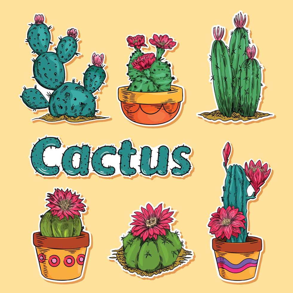 modèle d'autocollant de cactus et plantes succulentes vecteur