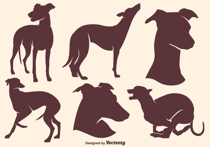Vector High Quality Whippet Dogs Silhouettes
