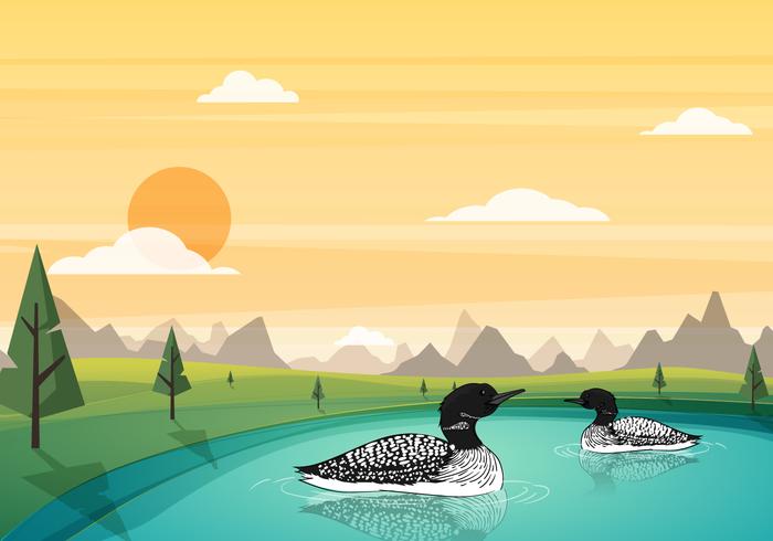 Loon Swimming In The Pond Illustration Vectorisée vecteur