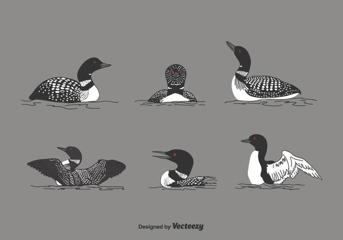 Loon Vector Set