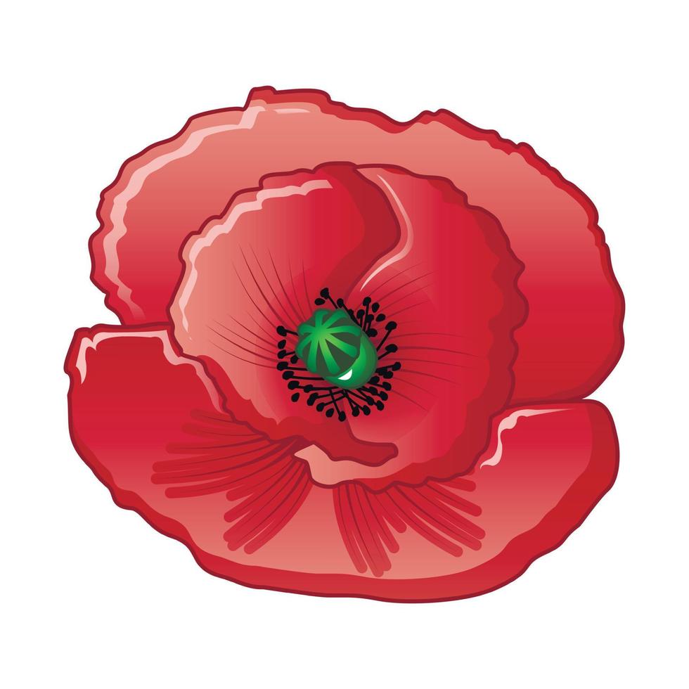 icône de fleur d'opium, style cartoon vecteur