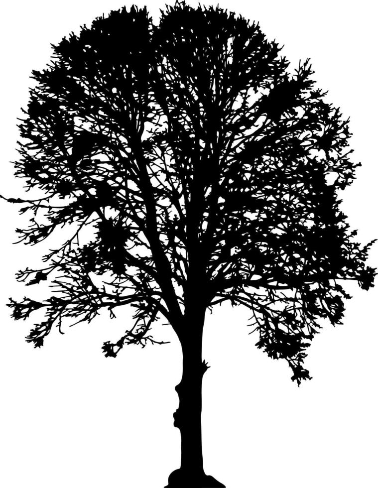 vecteur de silhouette d'arbre pour le site Web, pour l'impression. graphiques vectoriels.