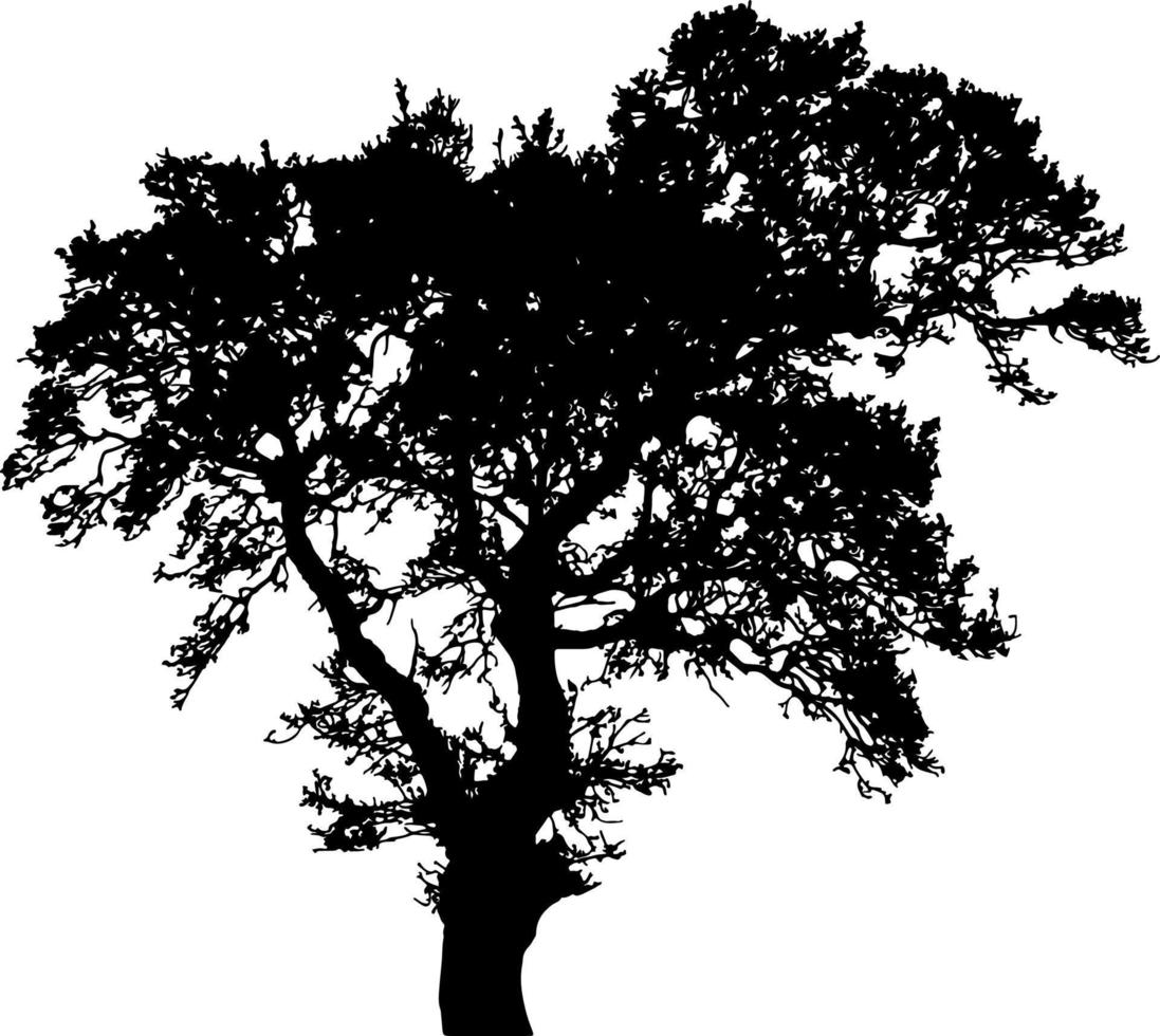 vecteur de silhouette d'arbre pour le site Web, pour l'impression. graphiques vectoriels.