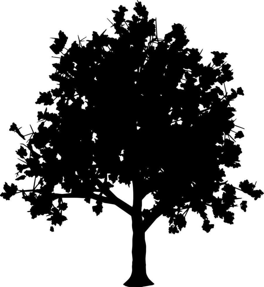 vecteur de silhouette d'arbre pour le site Web, pour l'impression. graphiques vectoriels.